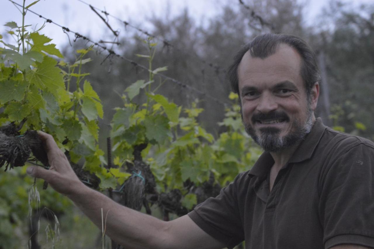 Podere Dell'Anselmo Montespertoli Ngoại thất bức ảnh