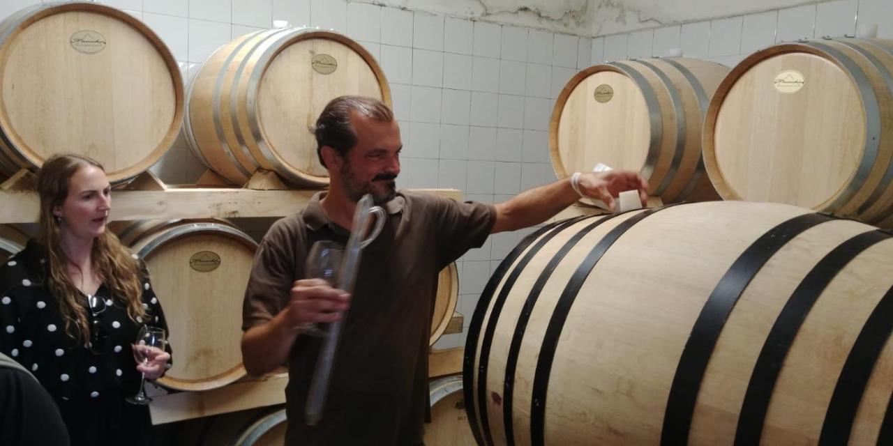 Podere Dell'Anselmo Montespertoli Ngoại thất bức ảnh